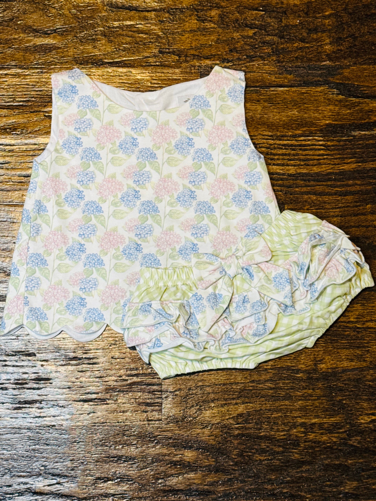 Hydrangeas Bloomer Sets