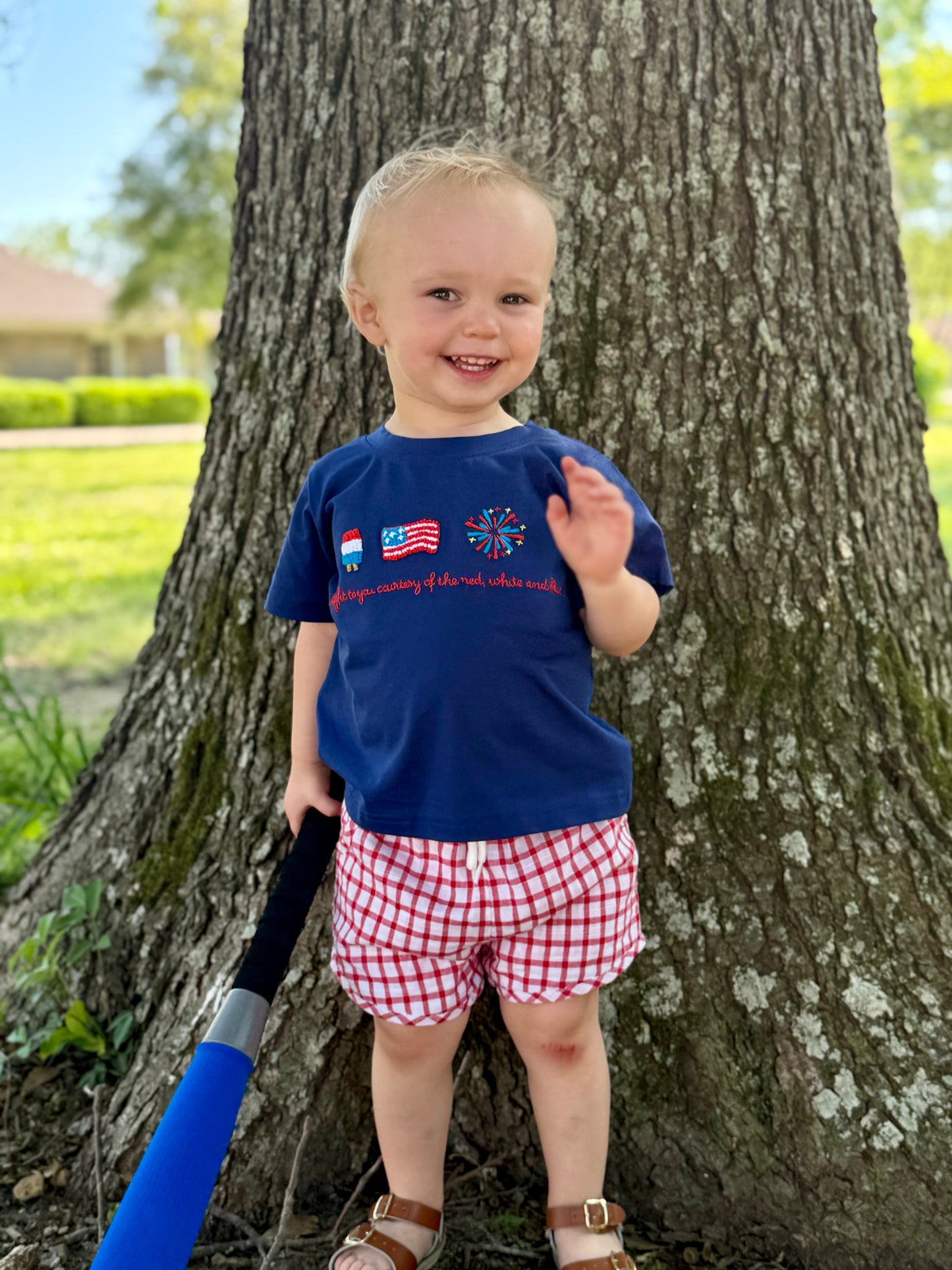 Courtesy of the Red, White & Blue