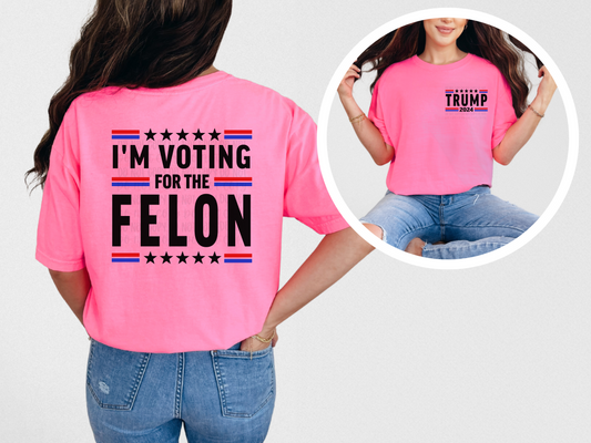 Voting For A Felon